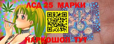 гидропоника Обнинск